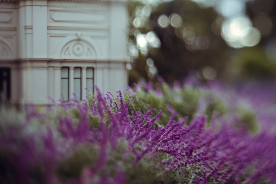 Королевский выставочный центр (Royal Exhibition Building)
