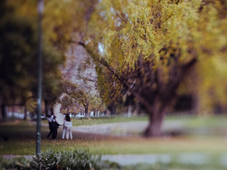 Королевский выставочный центр (Royal Exhibition Building)