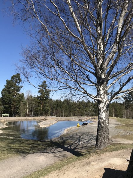 Скалы Taivaskallio Тайваскаллио