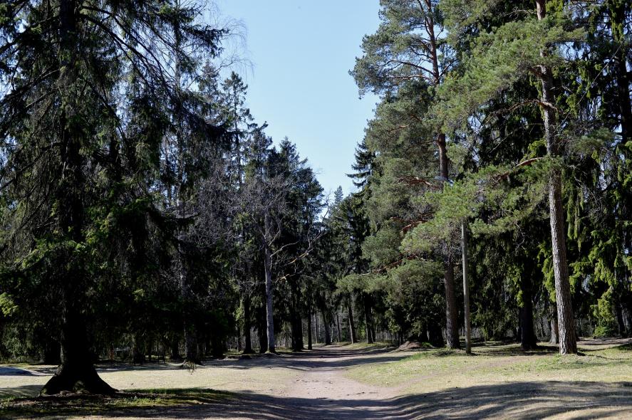 Замок Глена