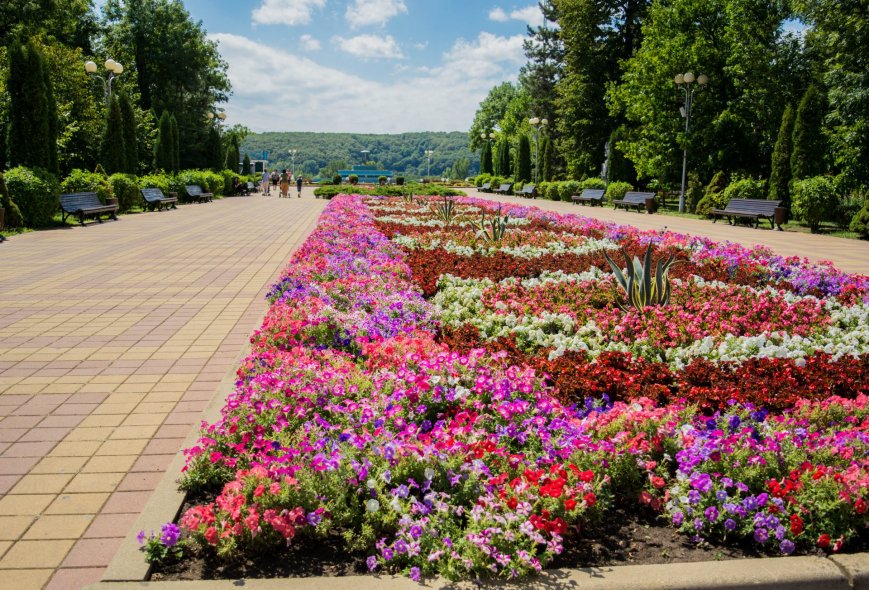 Городской парк им. Горького