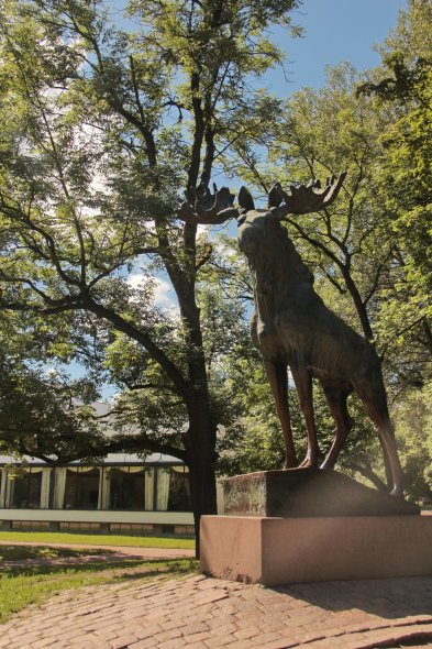 Выборгский Лось 