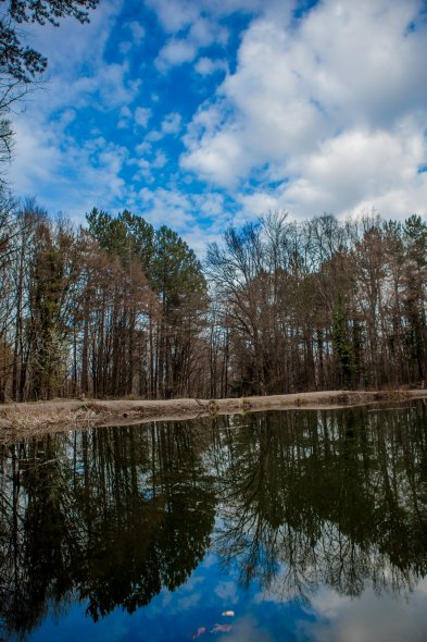Черепашье озеро
