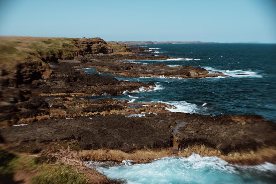 Природный парк «Остров Филипп» (Phillip Island Nature Park)