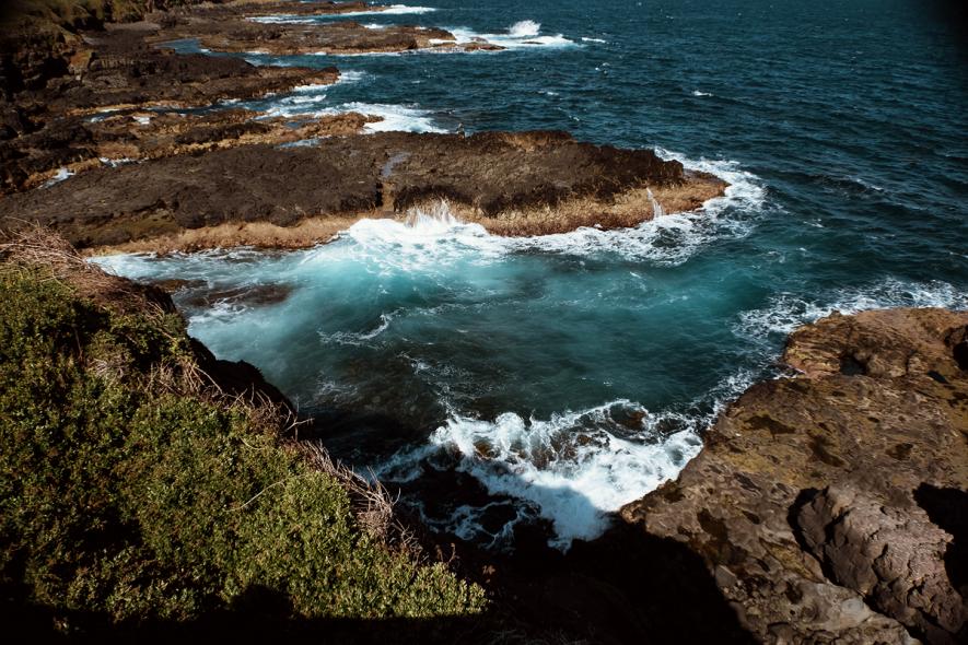 Природный парк «Остров Филипп» (Phillip Island Nature Park)