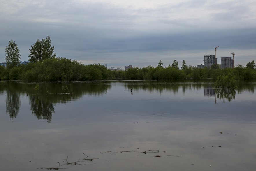 Парк Гагаринский 