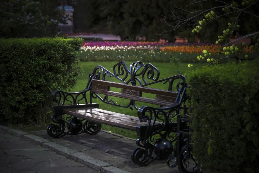 Центральный парк культуры и отдыха имени Горького