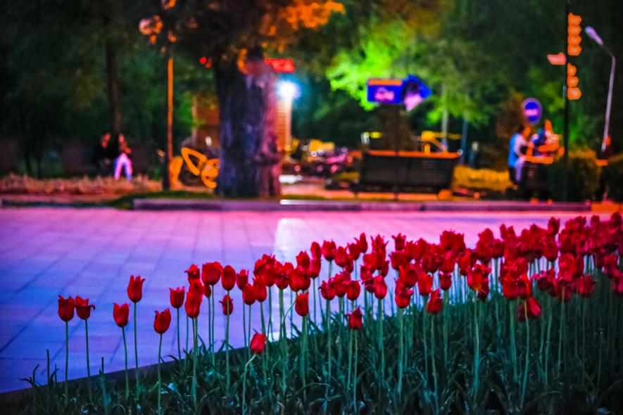 Центральный парк культуры и отдыха имени Горького