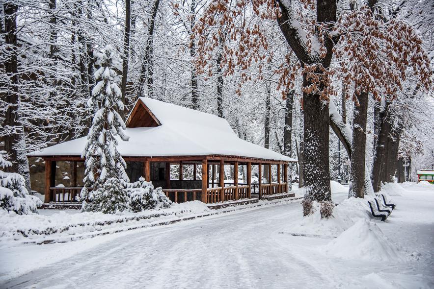 Центральный парк культуры и отдыха имени Горького