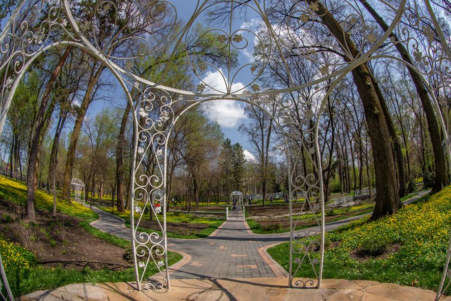 Центральный парк культуры и отдыха имени Горького