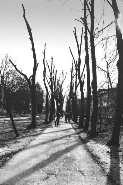 Улица Новая, Бургасская, Ставропольская, Стасова