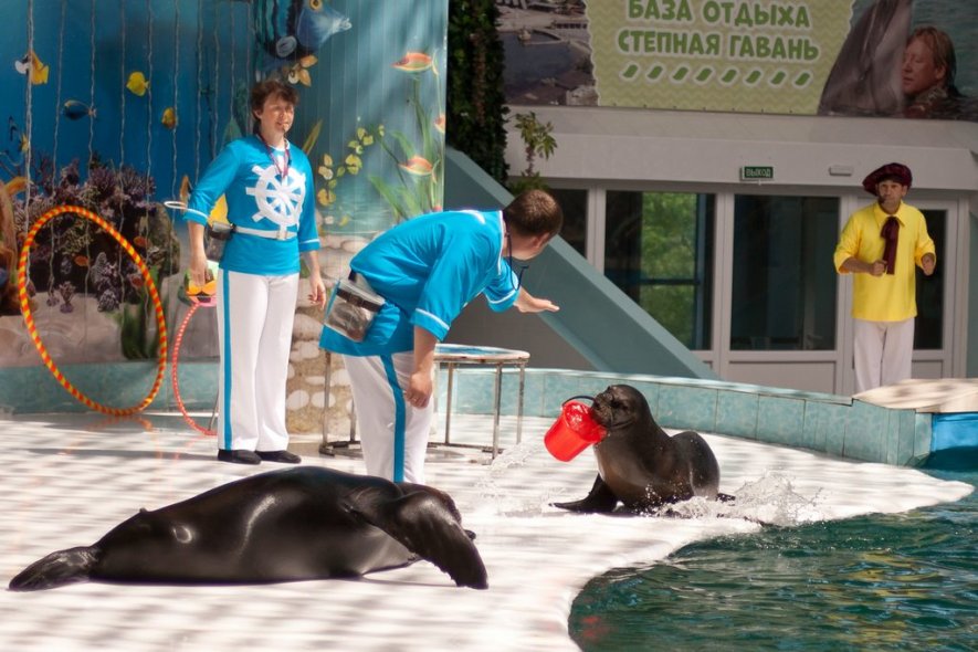 Дельфинарий