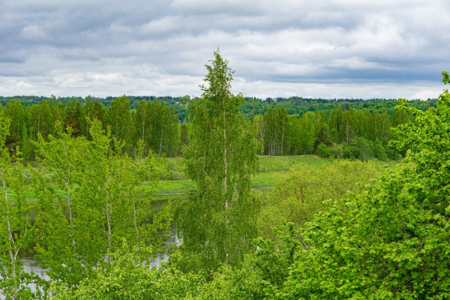 Динабургский каменный замок Ливонского ордена