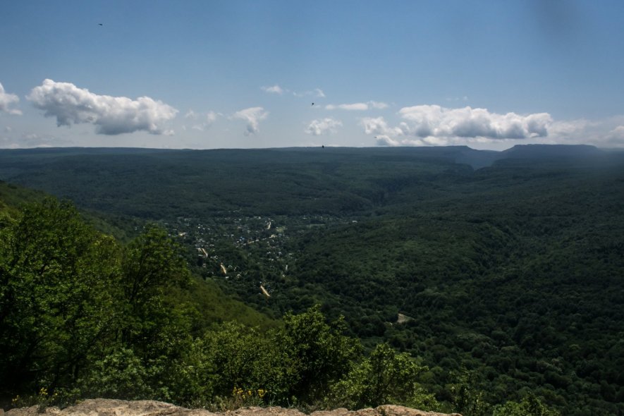 Орлиная полка