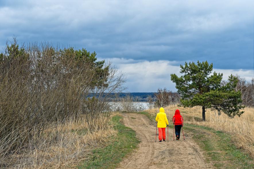 Городской парк Бердская коса