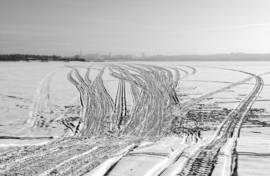 Городской парк Бердская коса