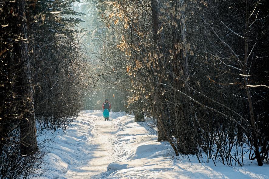 Городской парк Бердская коса