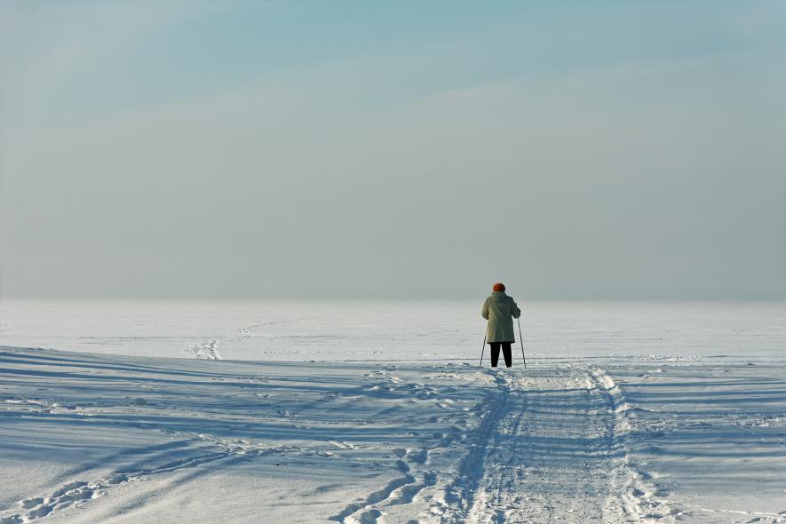 Городской парк Бердская коса