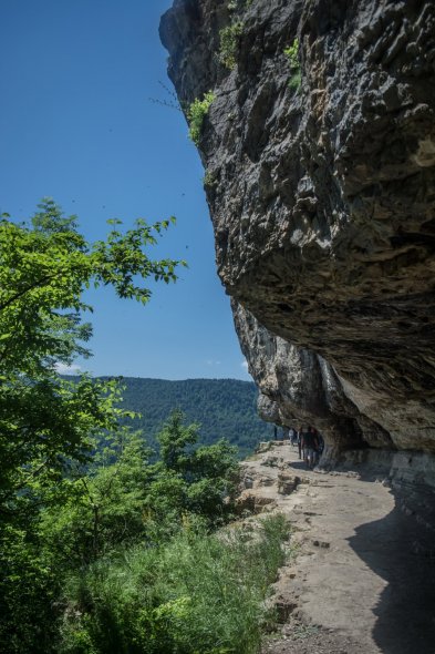 Орлиная полка