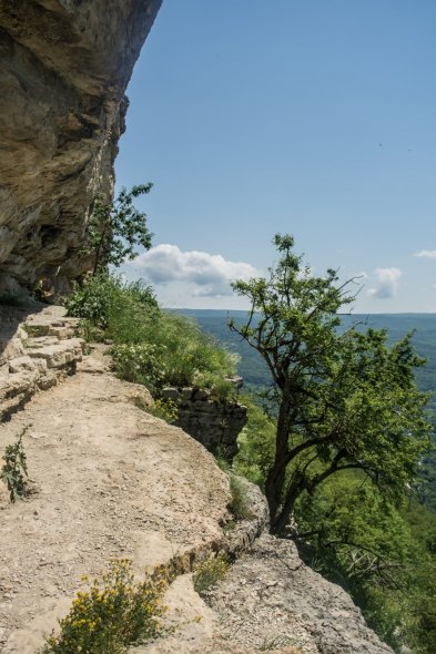 Орлиная полка