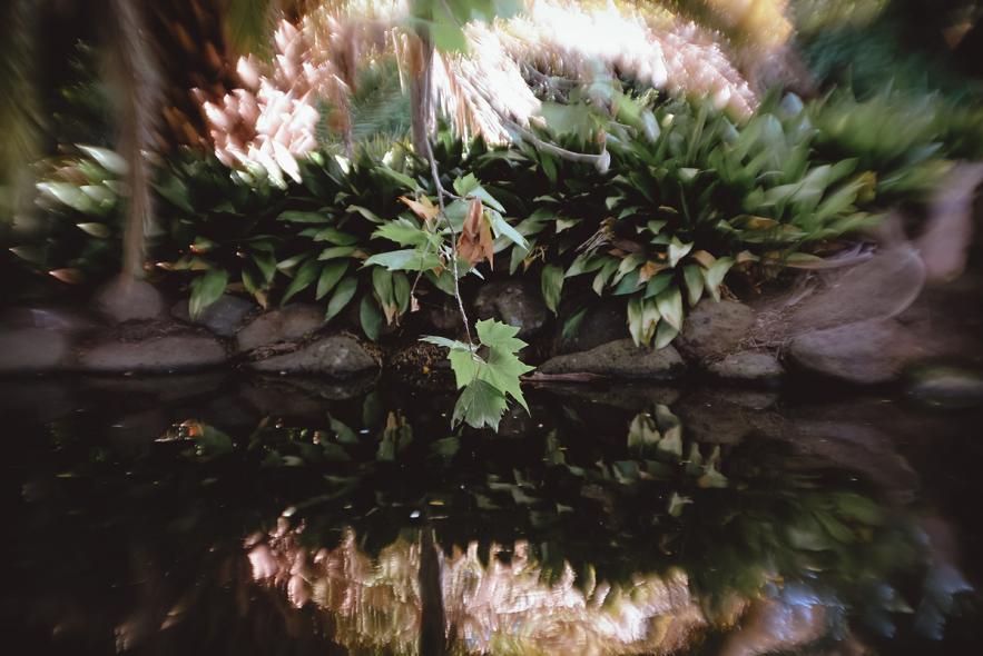 Сады Королевы Виктории (Queen Victoria Gardens)