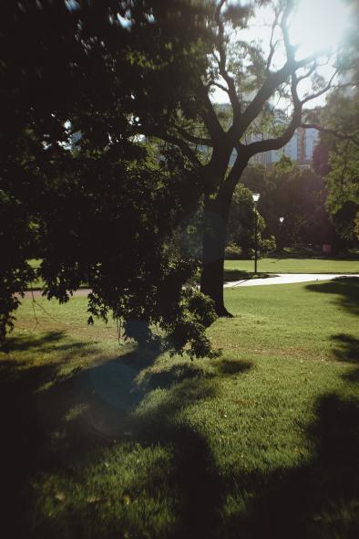 Сады Королевы Виктории (Queen Victoria Gardens)
