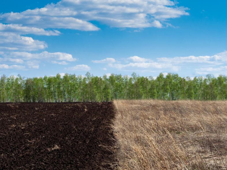 Антуражный берег Иртыша