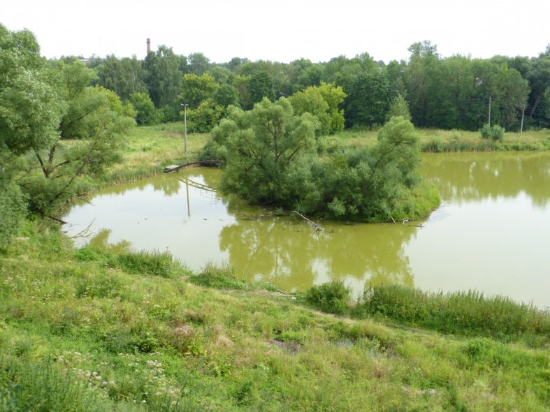 Александровский городской парк культуры и отдыха имени 200-летия