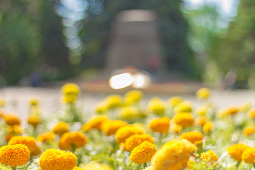 Вечный огонь