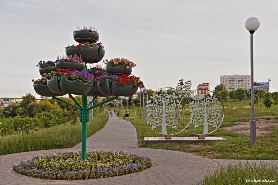 Парк семейных деревьев