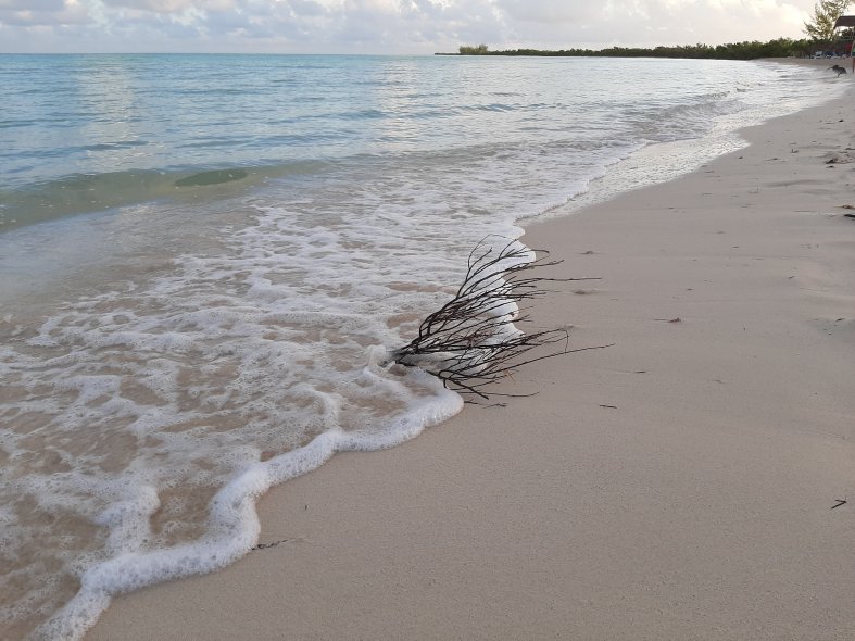 Memories Caribe Cayo Coco