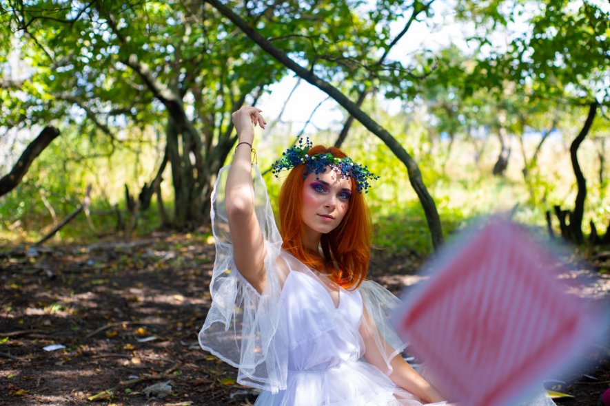 Волшебный лес