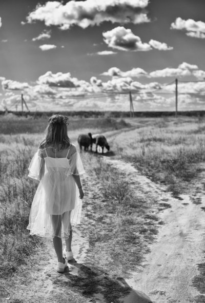 Волшебный лес