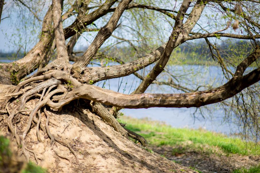 Санаторий им. Ленина