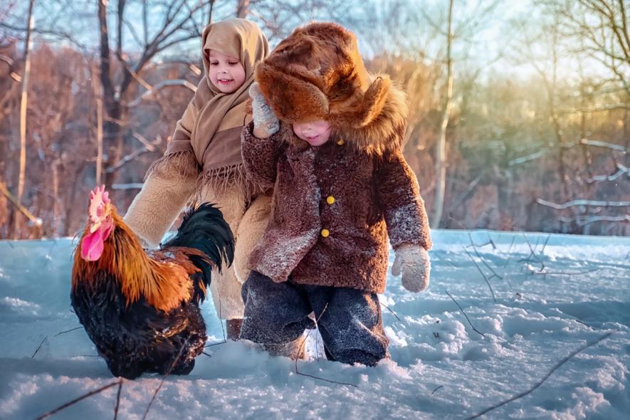 Московская набережная