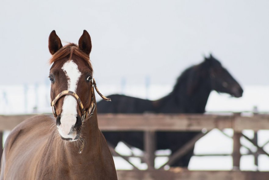  Центр семейного отдыха 