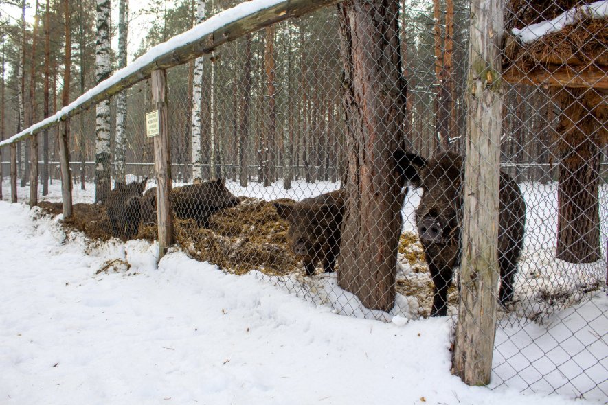  Центр семейного отдыха 