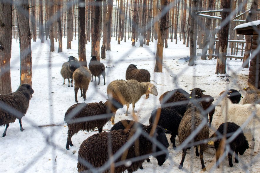 Центр семейного отдыха 