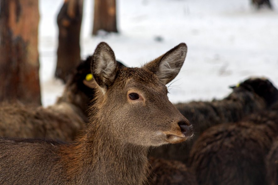  Центр семейного отдыха 