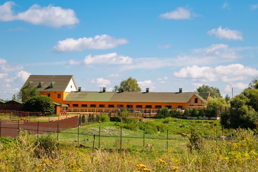 Ранчо «Аванпост»