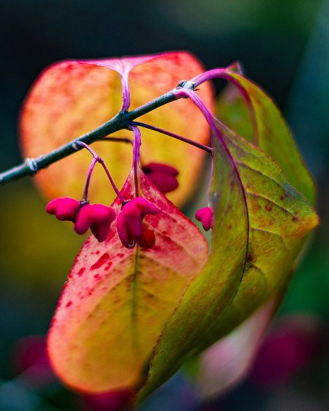 Панорама города
