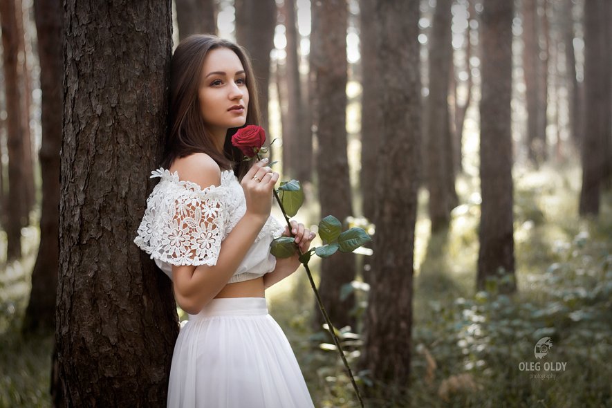 Сосновый бор