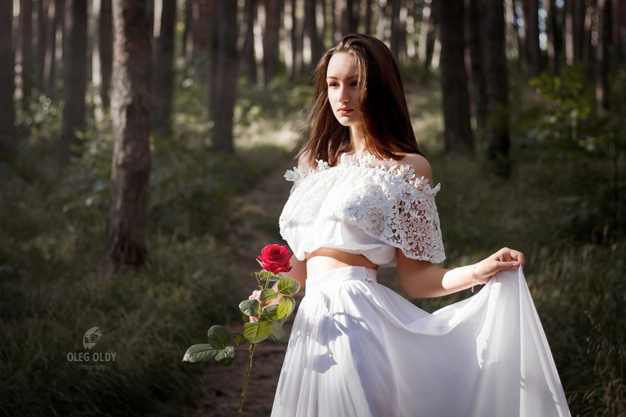 Сосновый бор