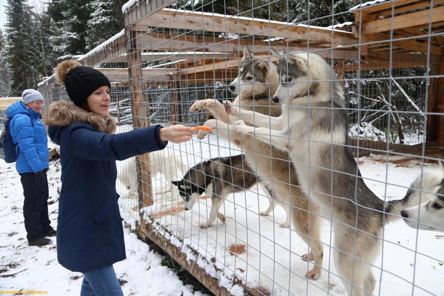 Таежная Заимка