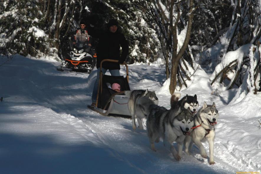 Таежная Заимка