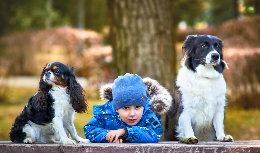 Свято-Николаевский Кафедральный Собор