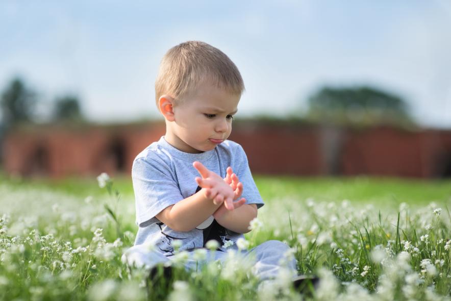 Бобруйская крепость