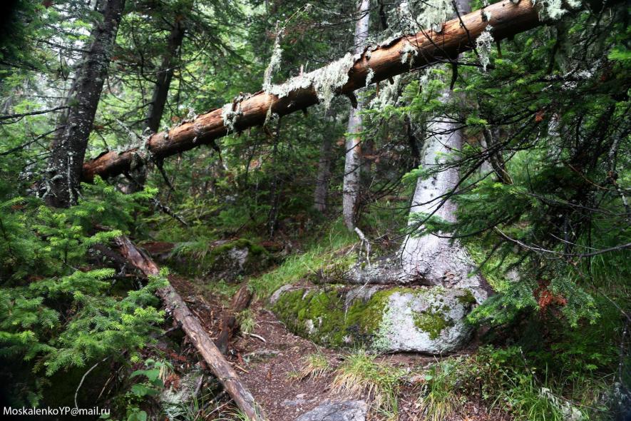 Мегалиты Горной Шории