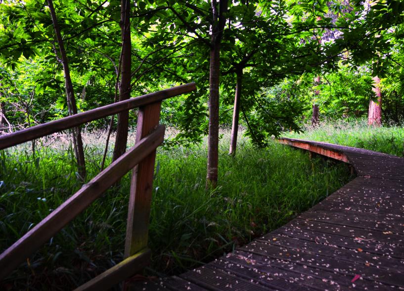 Бастьягейро (Bastiagueiro)