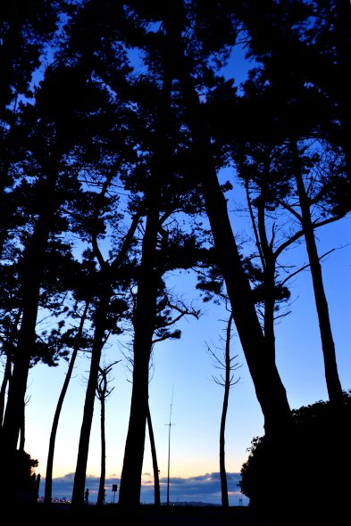 Бастьягейро (Bastiagueiro)